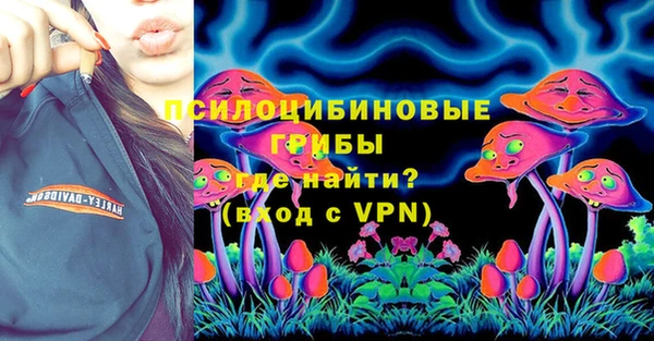 шишки Белоозёрский