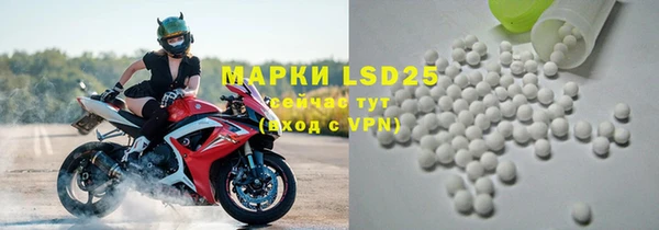 шишки Белоозёрский