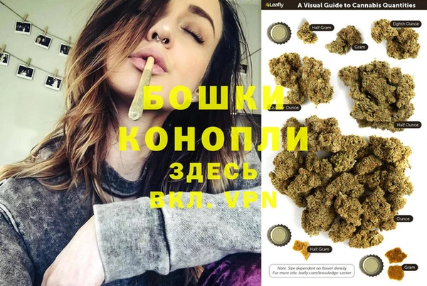 шишки Белоозёрский
