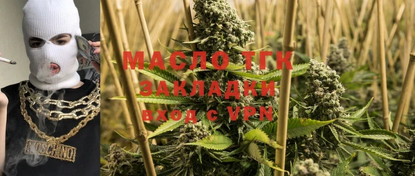 шишки Белоозёрский