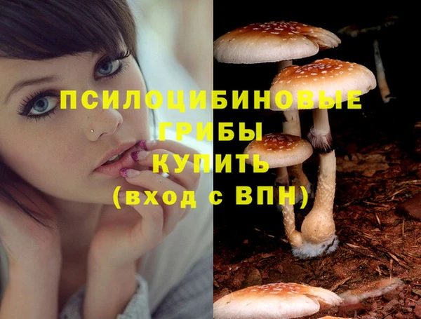 шишки Белоозёрский