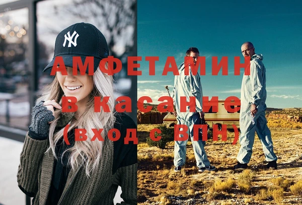 шишки Белоозёрский