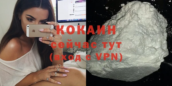 шишки Белоозёрский