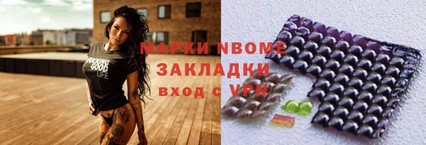 шишки Белоозёрский