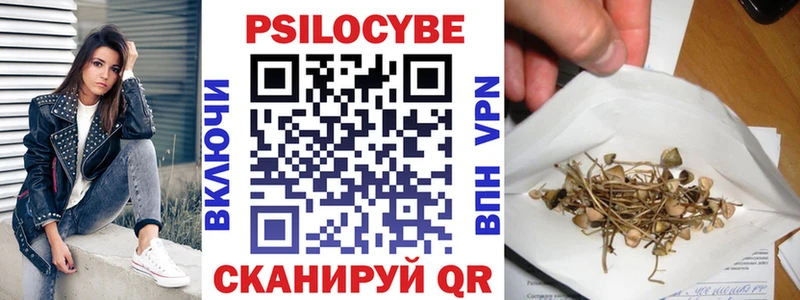 как найти закладки  Болохово  Псилоцибиновые грибы GOLDEN TEACHER 